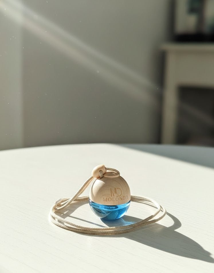 e-world-perfume-lime-hanging-car-air-freshener-new-car-scent