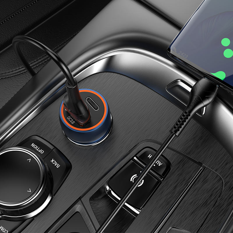 hoco-blue-whale-car-charger